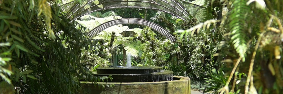 ブドゥグルの庭園：Kebun Raya Bali